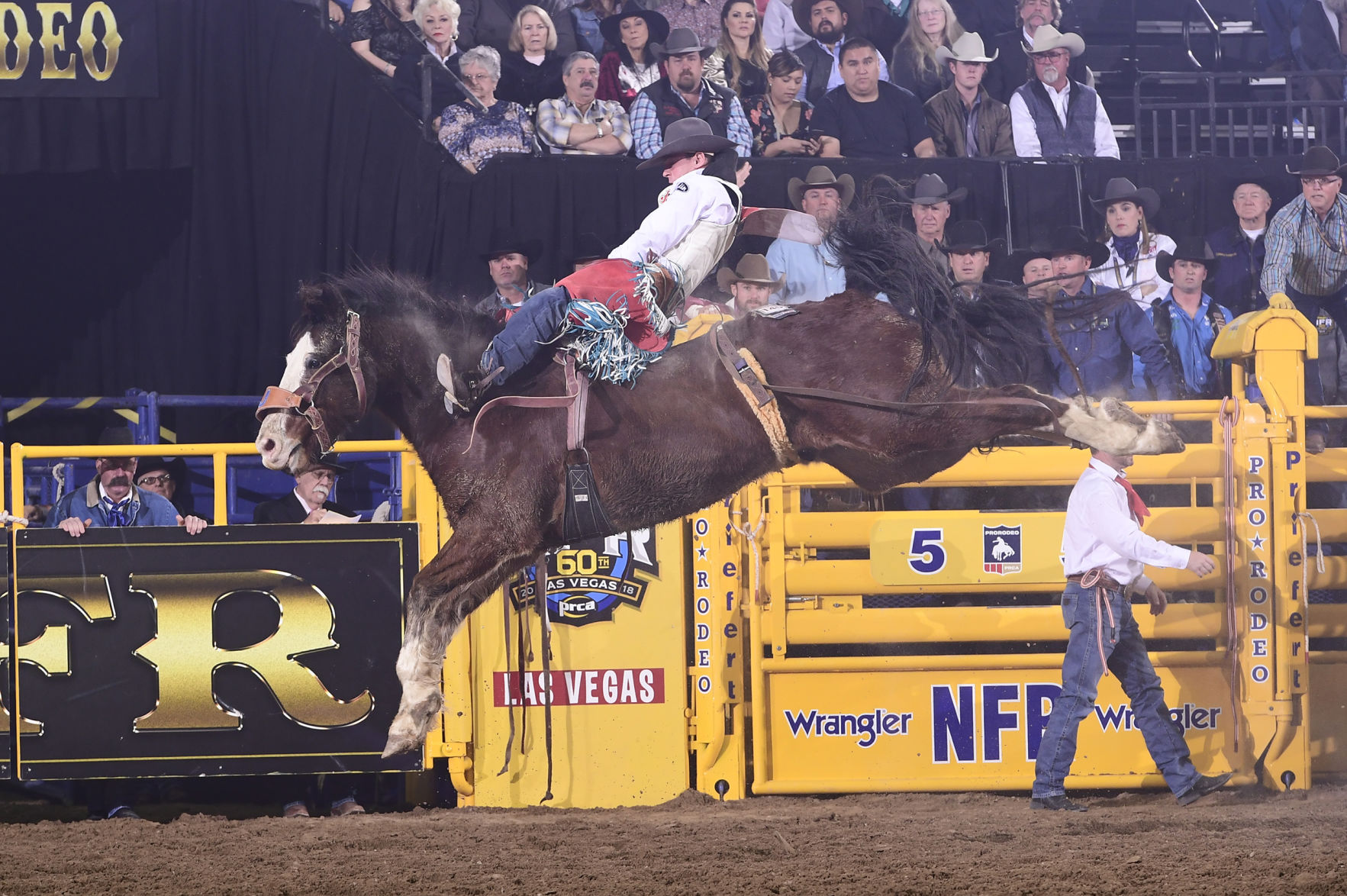 Bareback rider Tim O’Connell